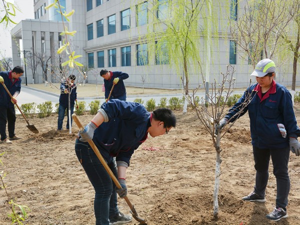 團（tuán）隊風采