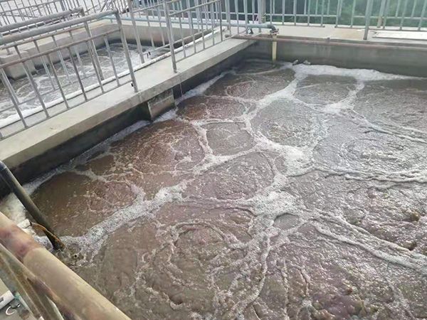 海魚加工汙水處理設備